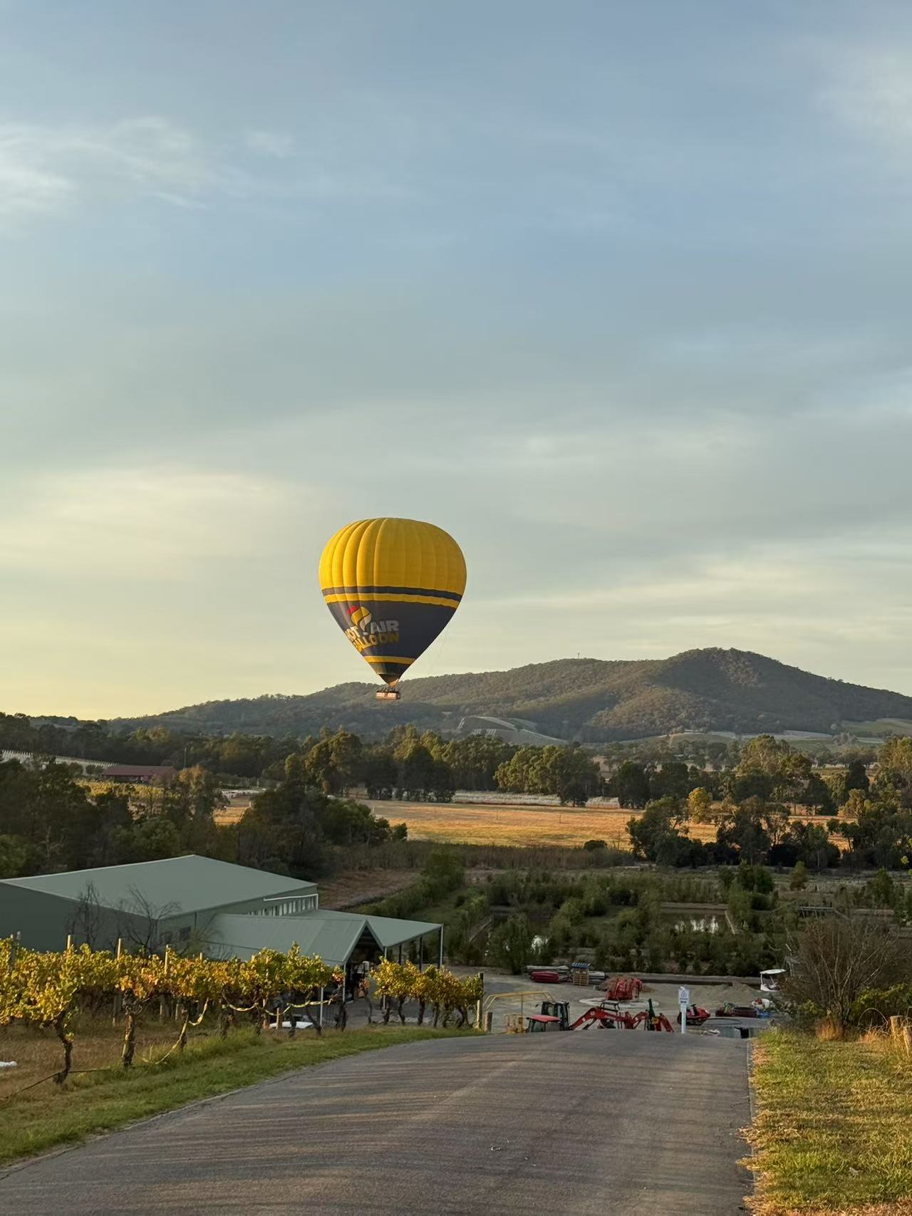 Badgers Brook vineyard in the Yarra Valley